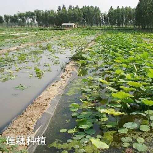 工程案例24